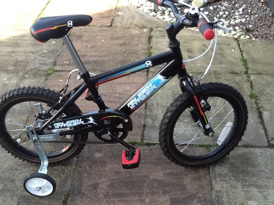raleigh striker 12 inch bike